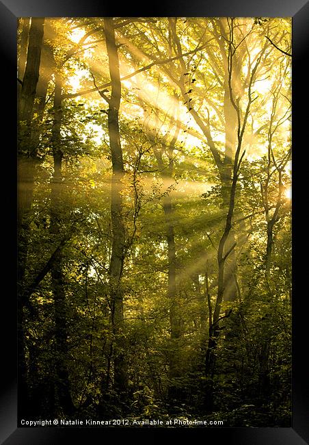 Sunrays Through the Trees Framed Print by Natalie Kinnear