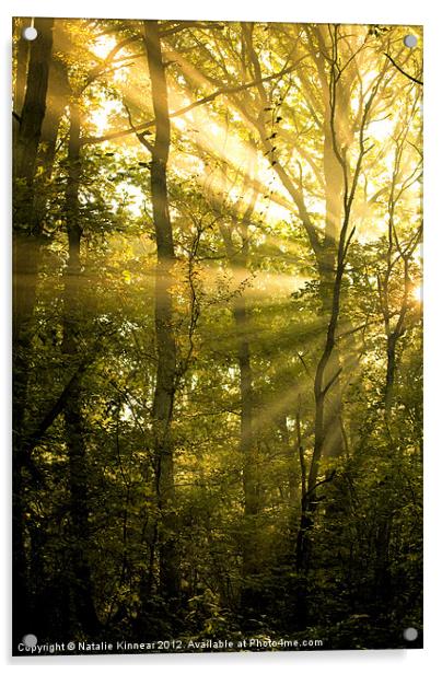 Sunrays Through the Trees Acrylic by Natalie Kinnear