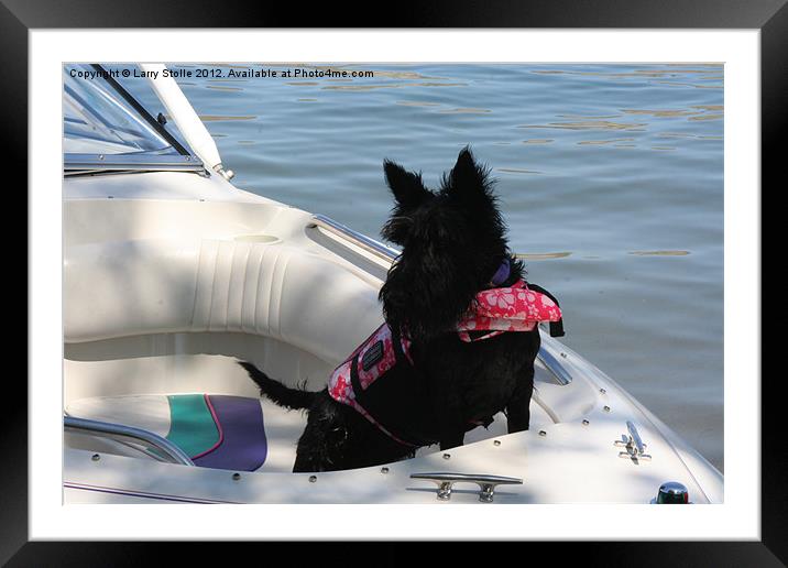 Dog in the Boat Framed Mounted Print by Larry Stolle