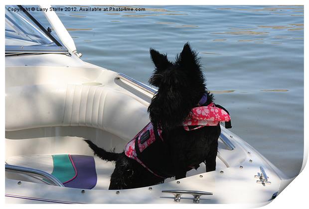Dog in the Boat Print by Larry Stolle