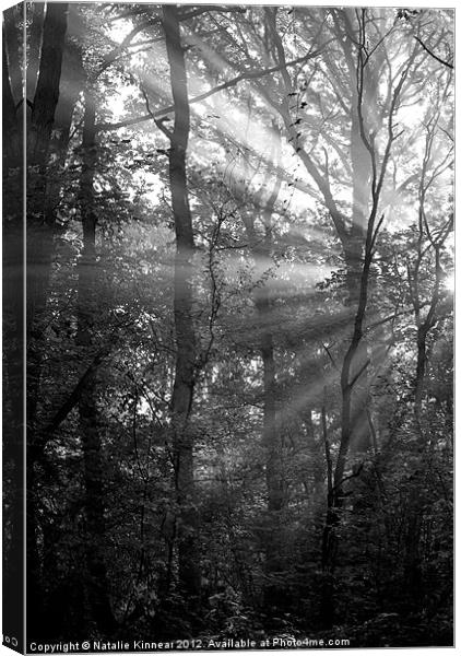 Sunrays Through the Trees in Black and White Canvas Print by Natalie Kinnear