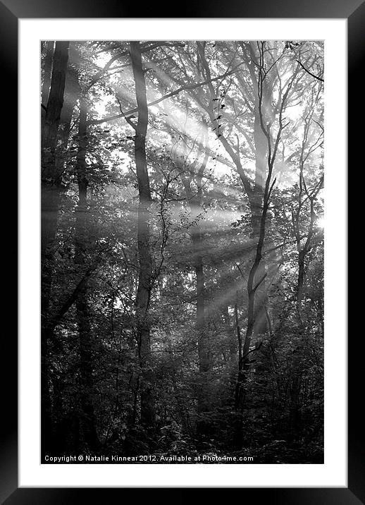 Sunrays Through the Trees in Black and White Framed Mounted Print by Natalie Kinnear