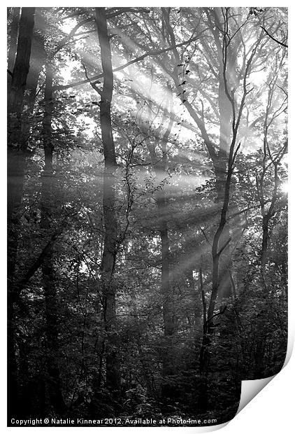 Sunrays Through the Trees in Black and White Print by Natalie Kinnear