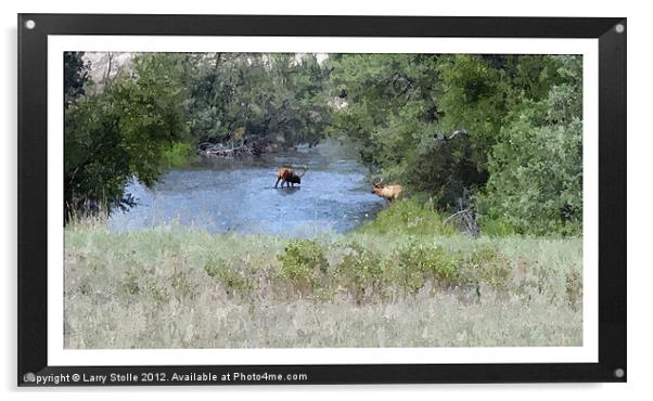 Elk in the River Acrylic by Larry Stolle
