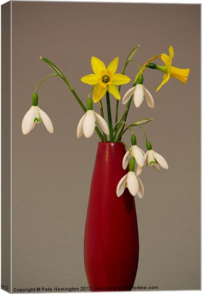 Still life of snowdrops and Narcissi Canvas Print by Pete Hemington