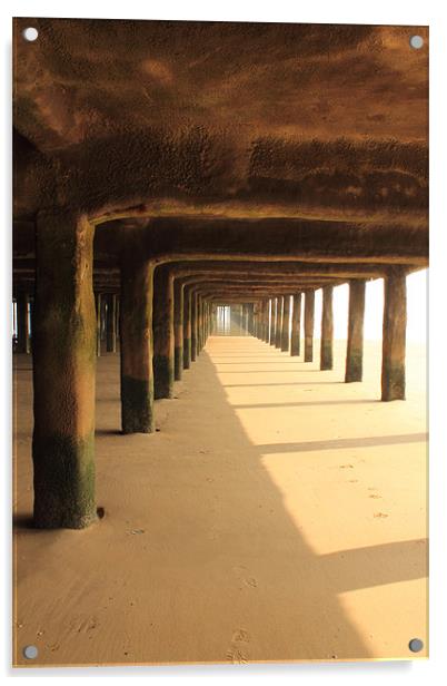 Under The Pier Acrylic by Adrian Wilkins