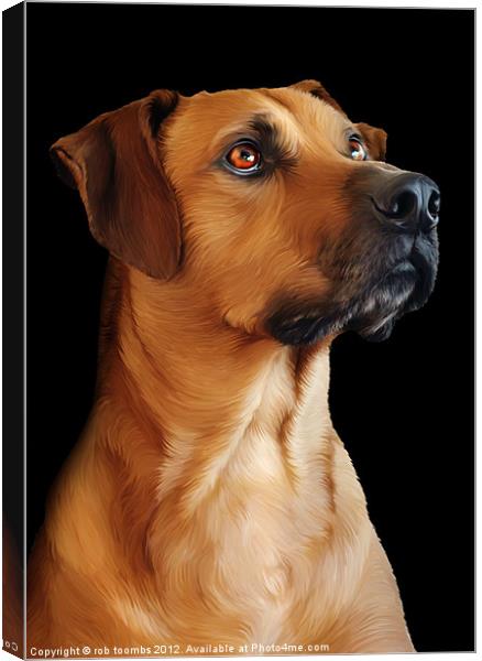 PROUD TO BE A RIDGEBACK Canvas Print by Rob Toombs