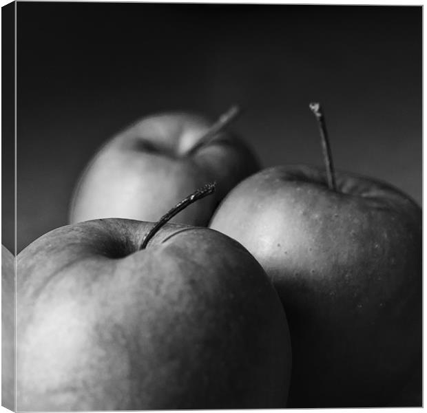 Apples Canvas Print by Steve Purnell