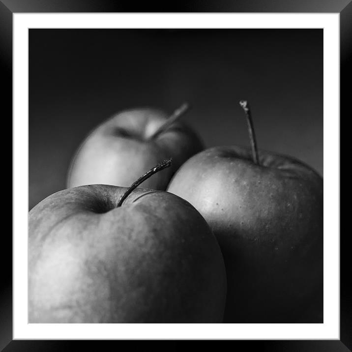 Apples Framed Mounted Print by Steve Purnell