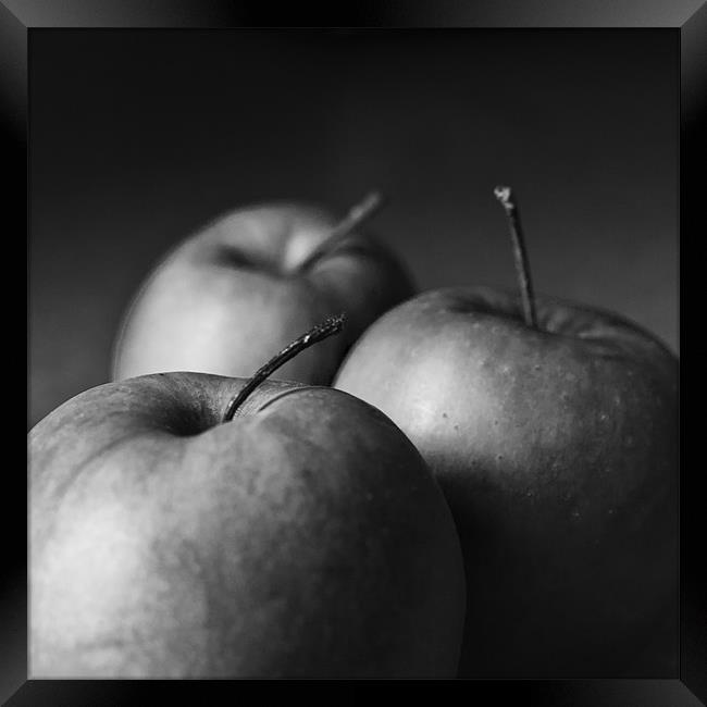 Apples Framed Print by Steve Purnell