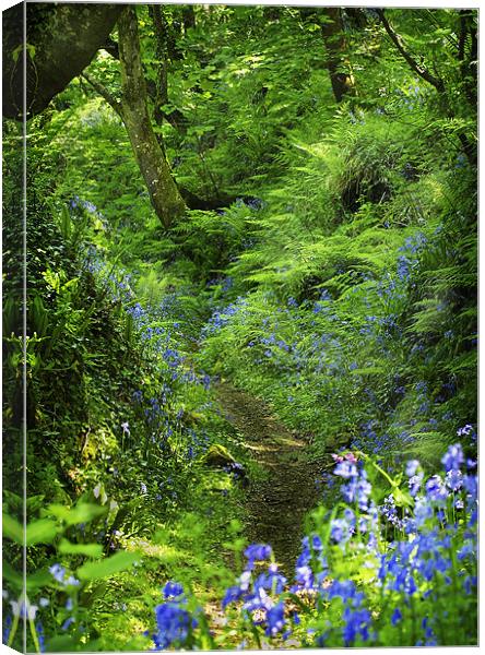 THE SECRET PATH Canvas Print by Anthony R Dudley (LRPS)