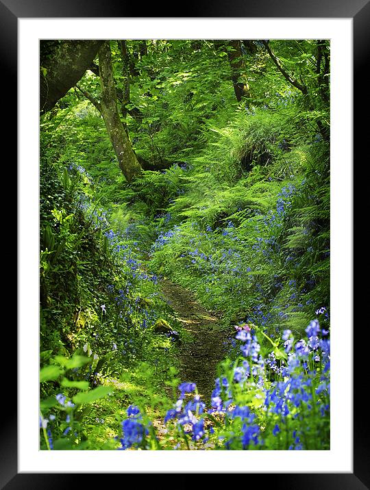 THE SECRET PATH Framed Mounted Print by Anthony R Dudley (LRPS)