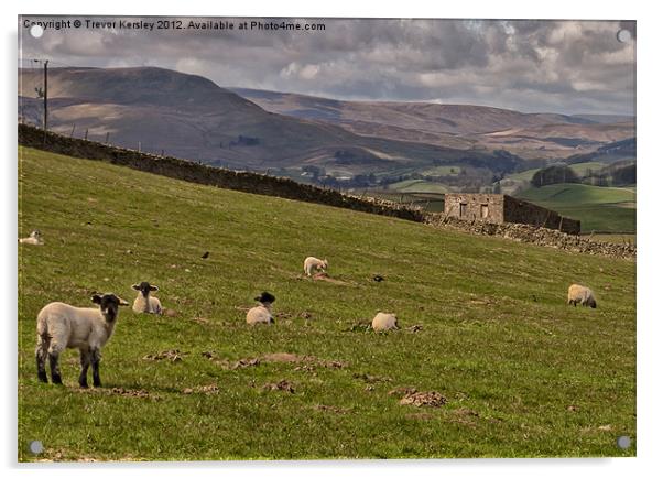 Yorkshire Dales Views Acrylic by Trevor Kersley RIP