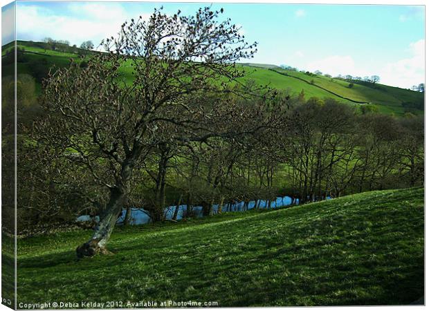 Walking in the Dale Canvas Print by Debra Kelday