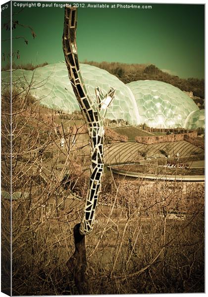 eden project cornwall Canvas Print by paul forgette