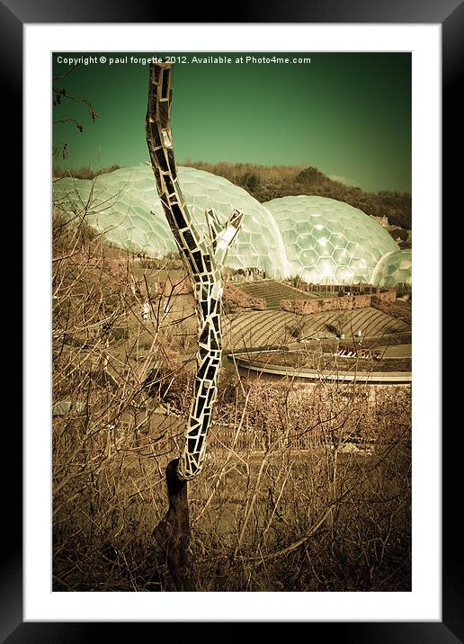eden project cornwall Framed Mounted Print by paul forgette