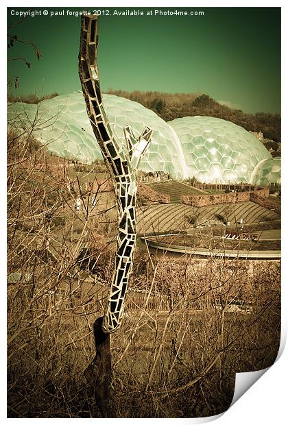 eden project cornwall Print by paul forgette
