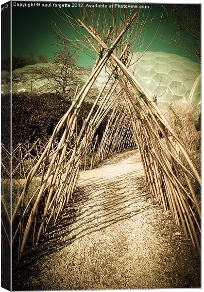 pathway to eden Canvas Print by paul forgette