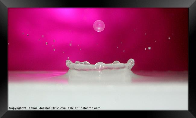 Milky Water Drop Framed Print by Rachael Hood