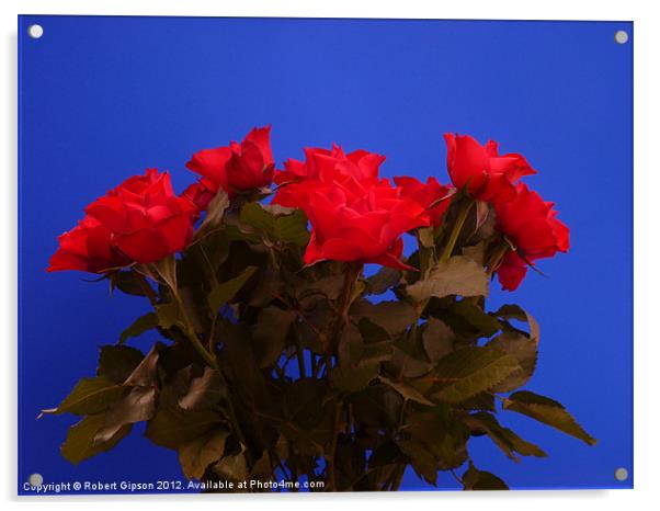 Roses for you Acrylic by Robert Gipson