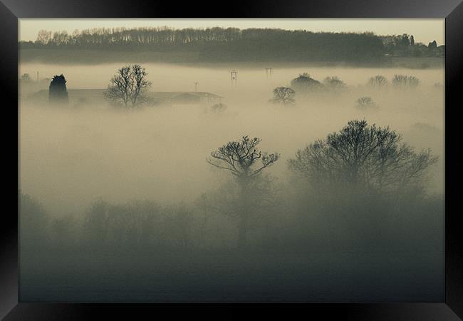 Fog Framed Print by Rebecca Briggs