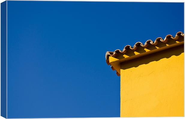 When yellow meets blue Canvas Print by Vinicios de Moura