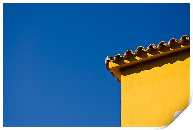 When yellow meets blue Print by Vinicios de Moura