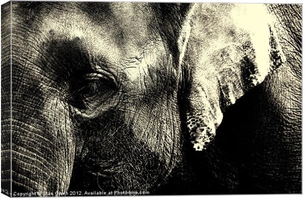 Asian Elephants Face. Canvas Print by Stan Owen
