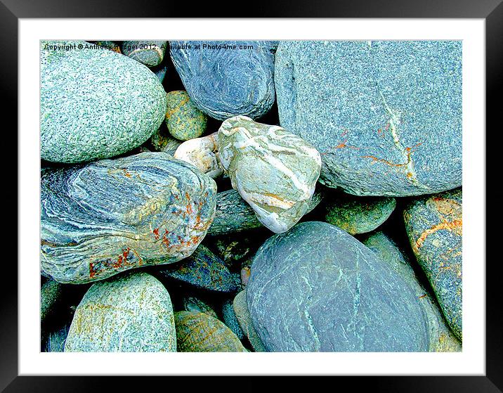 Pebbles Framed Mounted Print by Anthony Hedger