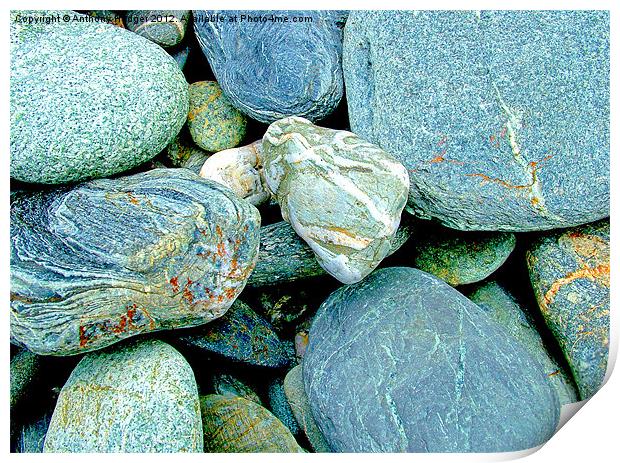 Pebbles Print by Anthony Hedger