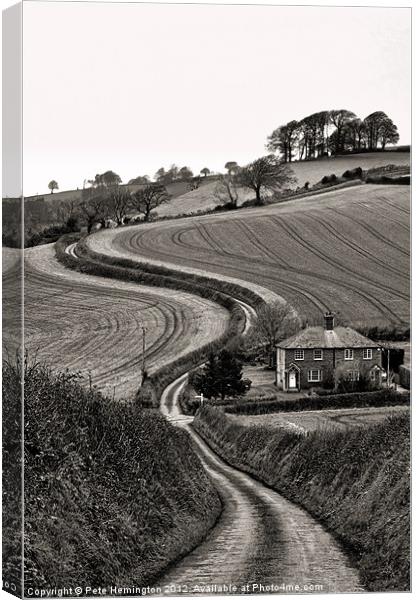 Rural Devon Canvas Print by Pete Hemington