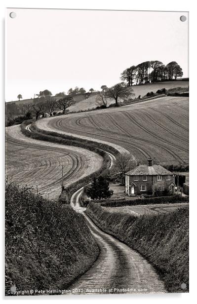 Rural Devon Acrylic by Pete Hemington