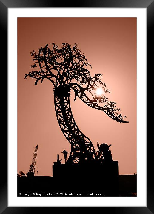 Iron Tree Framed Mounted Print by Ray Pritchard