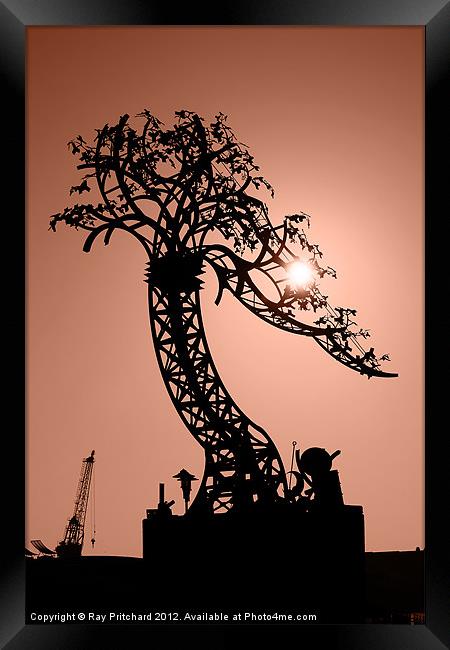 Iron Tree Framed Print by Ray Pritchard