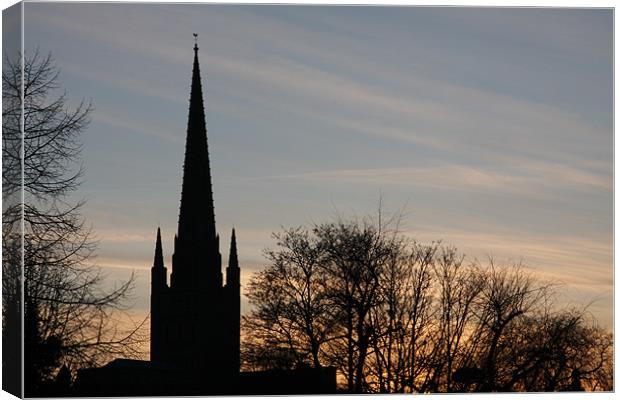 Norwich Cathedral Canvas Print by Ian Shadlock