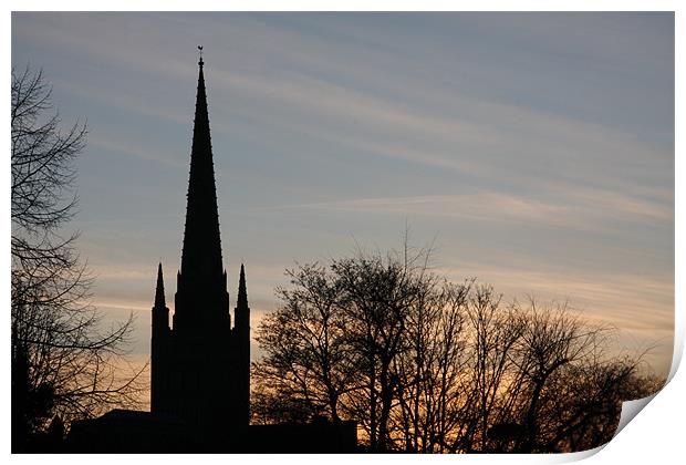 Norwich Cathedral Print by Ian Shadlock