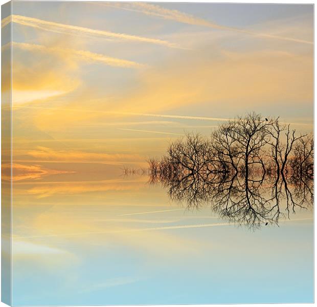 Heavenly branches Canvas Print by Sharon Lisa Clarke