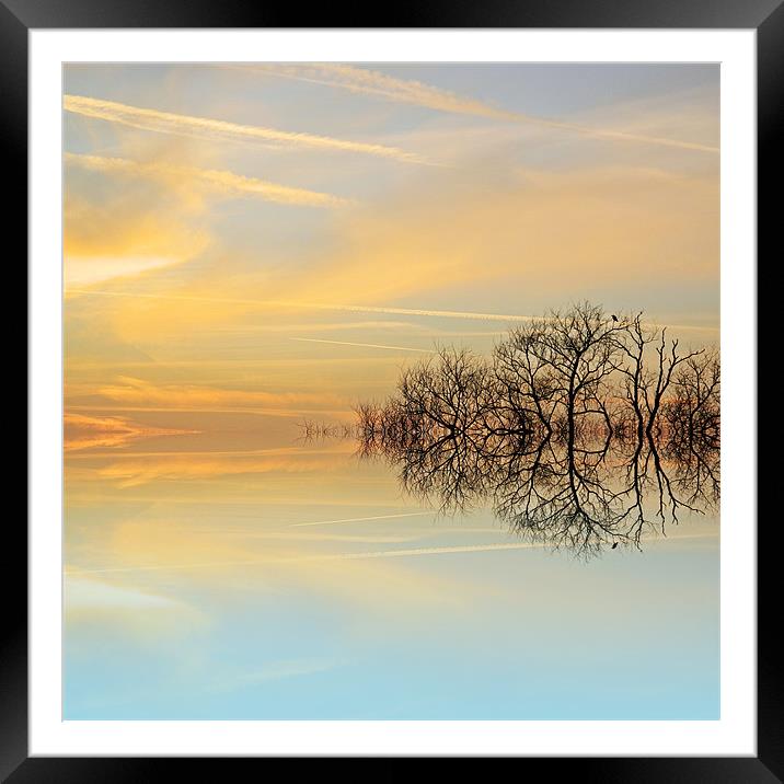 Heavenly branches Framed Mounted Print by Sharon Lisa Clarke