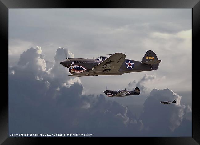 Flying Tigers Framed Print by Pat Speirs