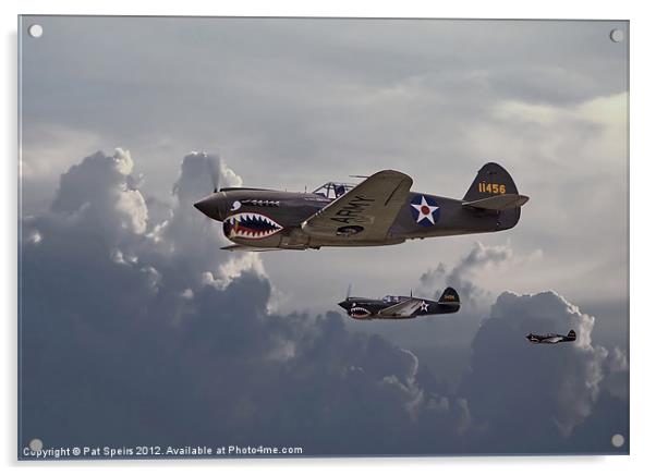 Flying Tigers Acrylic by Pat Speirs