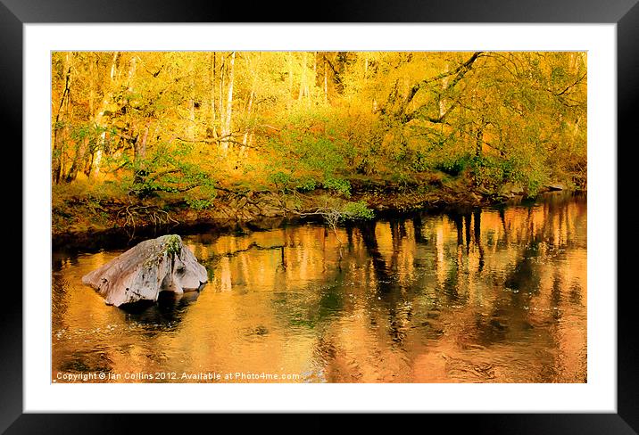 Autumn Colour Reflections Framed Mounted Print by Ian Collins