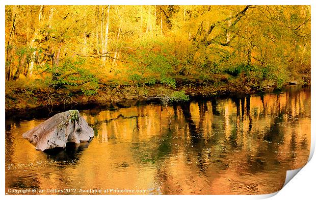 Autumn Colour Reflections Print by Ian Collins