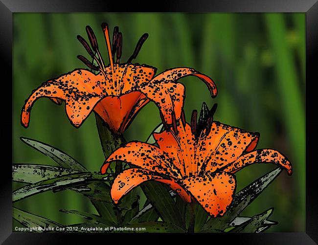Lilies - Cartoon Style Framed Print by Julie Coe
