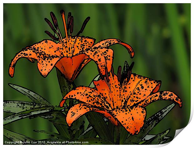 Lilies - Cartoon Style Print by Julie Coe