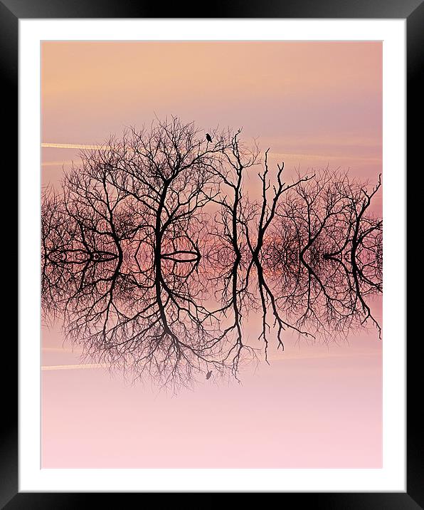 Candy skies Framed Mounted Print by Sharon Lisa Clarke