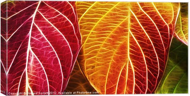 Autumn colour range fractal Canvas Print by Howard Corlett