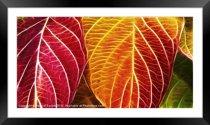 Autumn colour range fractal Framed Mounted Print by Howard Corlett