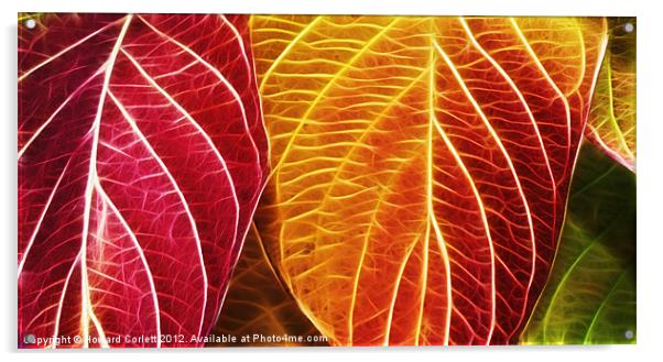 Autumn colour range fractal Acrylic by Howard Corlett