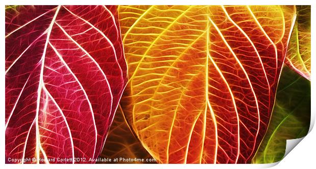 Autumn colour range fractal Print by Howard Corlett