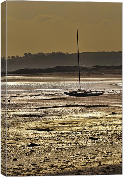Sailing Dinghy Canvas Print by Dave Wilkinson North Devon Ph